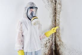 Best Attic Mold Removal  in Rock Island, IL